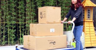 Top 3 xe đẩy 2 bánh làm mưa làm gió của cửa hàng Phong Thạnh